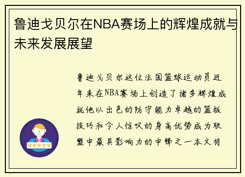 鲁迪戈贝尔在NBA赛场上的辉煌成就与未来发展展望